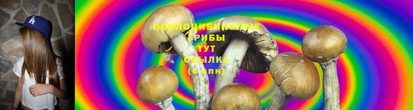 ГАЛЛЮЦИНОГЕННЫЕ ГРИБЫ Аркадак
