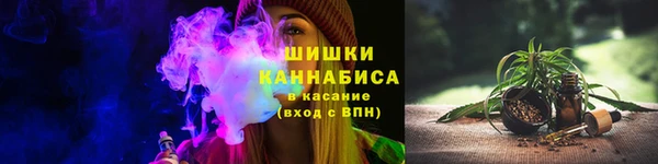 амф Снежногорск