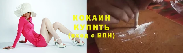 ГАЛЛЮЦИНОГЕННЫЕ ГРИБЫ Арсеньев