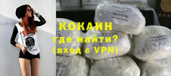 ГАЛЛЮЦИНОГЕННЫЕ ГРИБЫ Аркадак